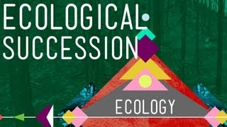 Ecological Succession Change is Good  Crash Course Ecology 6 [upl. by Katrine]