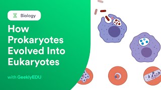 GeeklyHub Endosymbiotic Theory  How Prokaryotes Evolved Into Eukaryotes [upl. by Elka]