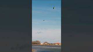 World Record Kitesurf Jump 😱🤯 Guess the height [upl. by Aklim]