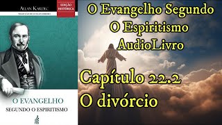 O divórcio  Capítulo 222  Evangelho Segundo o Espiritismo  Audiobook [upl. by Komarek]