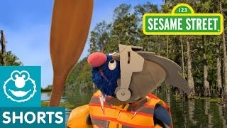 Sesame Street Grover Helps Piggies Up Creek  Super Grover 20 [upl. by Greenlee]