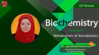 3 Metabolism of Xenobiotics part 1 [upl. by Gosselin]