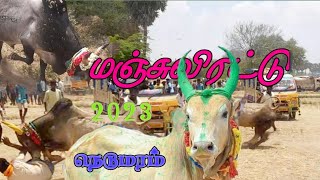 Nedumaram Manjuvirattu 2023  நெடுமறம் மஞ்சுவிரட்டு 2023 [upl. by Estrella]