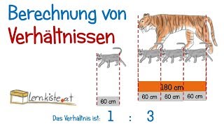Verhältnisse berechnen  Bruchrechnung Verhältnisse kürzen und Verhältnisgleichung [upl. by Perlman]