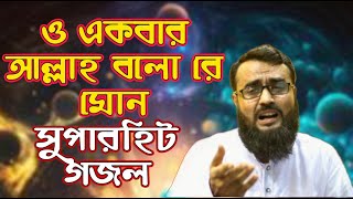 ও একবার আল্লাহ বলো রে মন দম ফুরাইয়া গেলে পড়িয়া রবে তোর লক্ষ টাকার ধন [upl. by Seiden14]