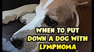 Canine Lymphoma When to Euthanize [upl. by Casia381]