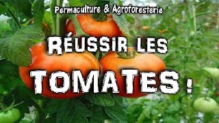 COMMENT PLANTER LES TOMATES AU JARDIN POTAGER EN PERMACULTURE  ASTUCES amp TUTEURER [upl. by Ellehcsar267]