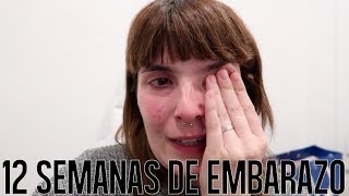 EMBARAZO MELLIZOS  12 semanas de embarazo VLOG  Mamá ingeniera [upl. by Siver]