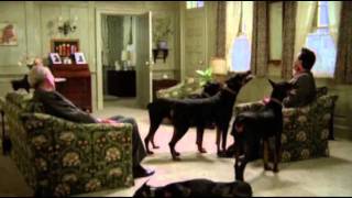 Dobermans in movie  16 part 2  Доберманы в кино [upl. by Salohcin499]