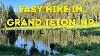 Moose Ponds Hike in Grand Teton National Park [upl. by Enywtna]