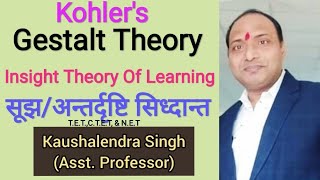 Insight Theory of Learning अंतदृष्टि या सूझ का सिद्धांत Kohlers Gestalt theory ofLerningTETCTET [upl. by Aihc]