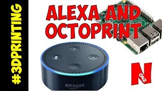 How To Set up OctoPrint with The Amazon Echo Home Automation [upl. by Nicholl]