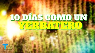 10 DÍAS COMO UN YERBATERO CONOCÉ CÓMO SE FABRICA LA YERBA [upl. by Otreblanauj643]