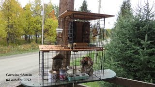 Installation de cubes pour mangeoires doiseaux [upl. by Afas]