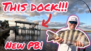 Persistence Pays Off New PB LandBased Fishing During Nor’easter Dock Fishing Surf Fishing [upl. by Bonnice]