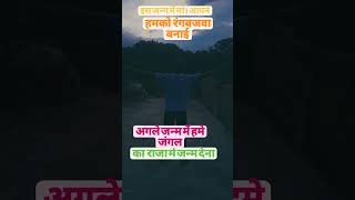 viralshort अगल जन्म दीह बघावा के tuntunlalyadavnewsong virualArunYadaver9ci [upl. by Eet]