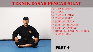 How to learn pencak silat  Basic Silat Techniques PART 4 [upl. by Heeley193]