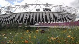 Kein Rekord aber gepunktet Londons OlympiaÖkoBilanz [upl. by Margaret339]