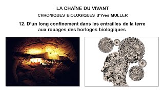 12 D’un long confinement dans les entrailles de la terre aux rouages des horloges biologiques [upl. by Enileuqaj]