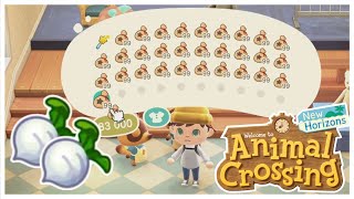 Guide Pour Gagner Un Maximum De Clochettes Avec Les Navets Dans Animal Crossing New Horizons [upl. by Nire]