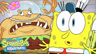 Krusty Krab’s CRAZIEST Services Ever 🍔  30 Minute Compilation  SpongeBob [upl. by Adolphe]