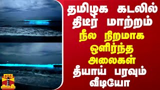 தமிழக கடலில் திடீர் மாற்றம்நீல நிறமாக ஒளிர்ந்த அலைகள்  தீயாய் பரவும் வீடியோ [upl. by Thursby448]