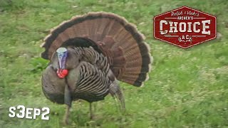 Bowhunting Eastern Turkeys  Archer’s Choice  Season 3 [upl. by Raye]