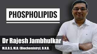 Phospholipids [upl. by Christmas]