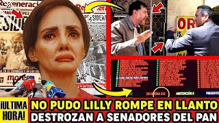 DIPUTADOS EN G0LPES MORENISTA AGARRA DE LAS GREÑAS A LILLY Y LE DA M4DRIZ4 EN VIVO AMLO Y MEXICO [upl. by Feltie765]