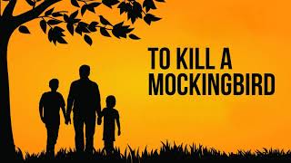 To Kill A Mockingbird Audiobook Complete Chapter 25 [upl. by Garling818]