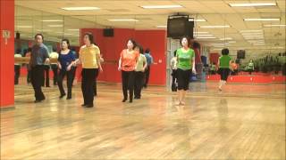 Hillbilly Roll  Line Dance Demo amp Walk Through [upl. by Iahk883]