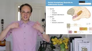 Funktionelle Neuroanatomie Sitzung 6 [upl. by Annoyt]