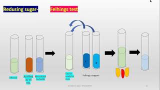 Phytochemical tests for plant material [upl. by Jeramey]