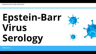 EpsteinBarr Virus Serology  Heterophile Antibodies [upl. by Nyssa]