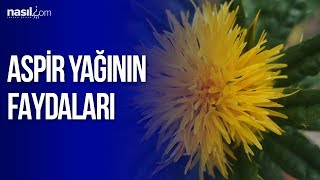 Aspir yağının faydaları  Sağlık  Nasilcom [upl. by Alanna]