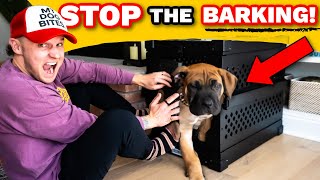 Puppy Training Why I ALMOST Gave Up Crate Training My Puppy Puppy Training Guide [upl. by Florentia873]