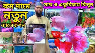 Aquarium fish price in Bangladesh  Aquarium price in Bangladesh  Katabon Animal market in Dhaka [upl. by Gerbold]