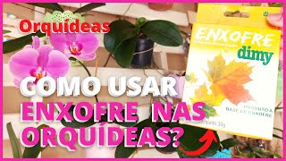 ENXOFRE NAS ORQUÍDEAS  Como usar o enxofre nas orquídeas e para que ele realmente serve 🪴⚠️ [upl. by Yenffad]