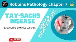 TaySachs Disease Lysosomal Storage Diseases Genetic robbinspathology chapter 7 pathology [upl. by Releyks]