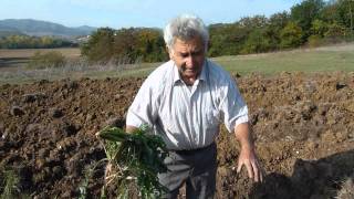 KeBio Agricoltura Naturale Pasquale e lOrto Sinergico [upl. by Sparhawk814]