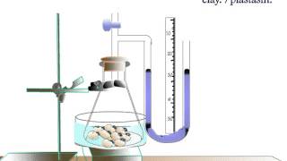 Find Respiration Rate using Respirometer [upl. by Adnuhser327]