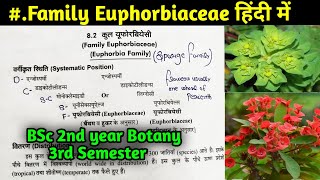 Family Euphorbiaceae in Hindi  BSc 2nd year Botany Third Semester [upl. by Euf630]