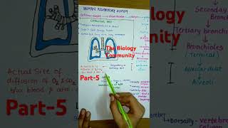 HUMAN RESPIRATORY SYSTEM PART5 breathingandexchangeofgasesclass11biologyneet2025cbseshortsbio [upl. by Benenson]