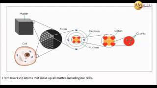 Dr Mark Metus on Quantum Alignment Technique [upl. by Brunhilda]