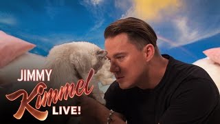 Channing Tatum Says 8 Hateful Things to a Kitten [upl. by Htebazle160]