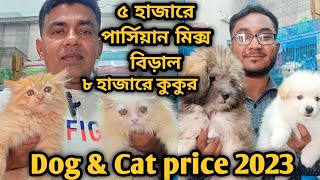 Katabon animal market in bangladeshGerman Spitz Lhasa Apso Persian Cat Dog and cat price 2023 [upl. by Renrag]