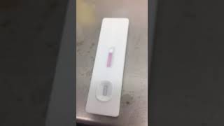 JOYSBIO SARSCOV2 Antigen Rapid Test Kit  Field Video from EU User [upl. by Moyers]