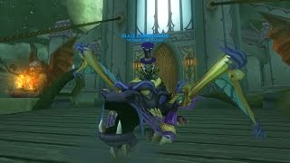 Wizard101 Lvl 100 Storm Gear Setup  My Darkmoor Drops So Far [upl. by Nolie]