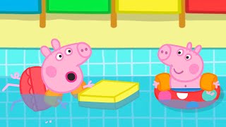 Peppa Pig And George Go Swimming with Their Parents 🐷 🏊‍♂️ Adventures With Peppa Pig [upl. by Recha]