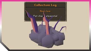 Chaos Elemental Pet Drop 🦑🌩️ OSRS Old School RuneScape [upl. by Madigan434]